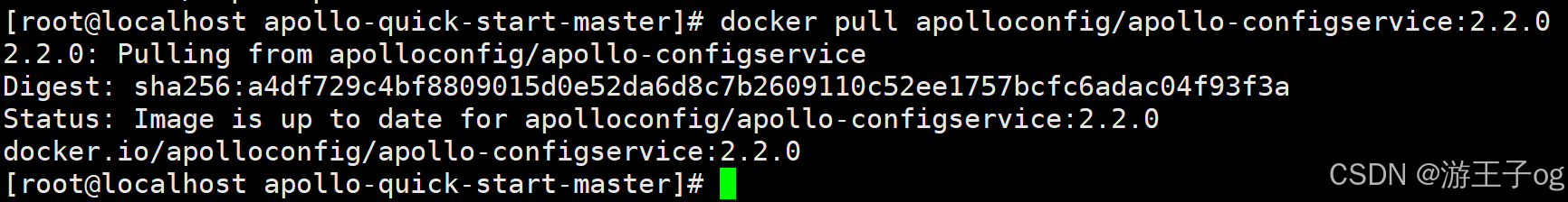 Apollo使用（3）：分布式docker部署