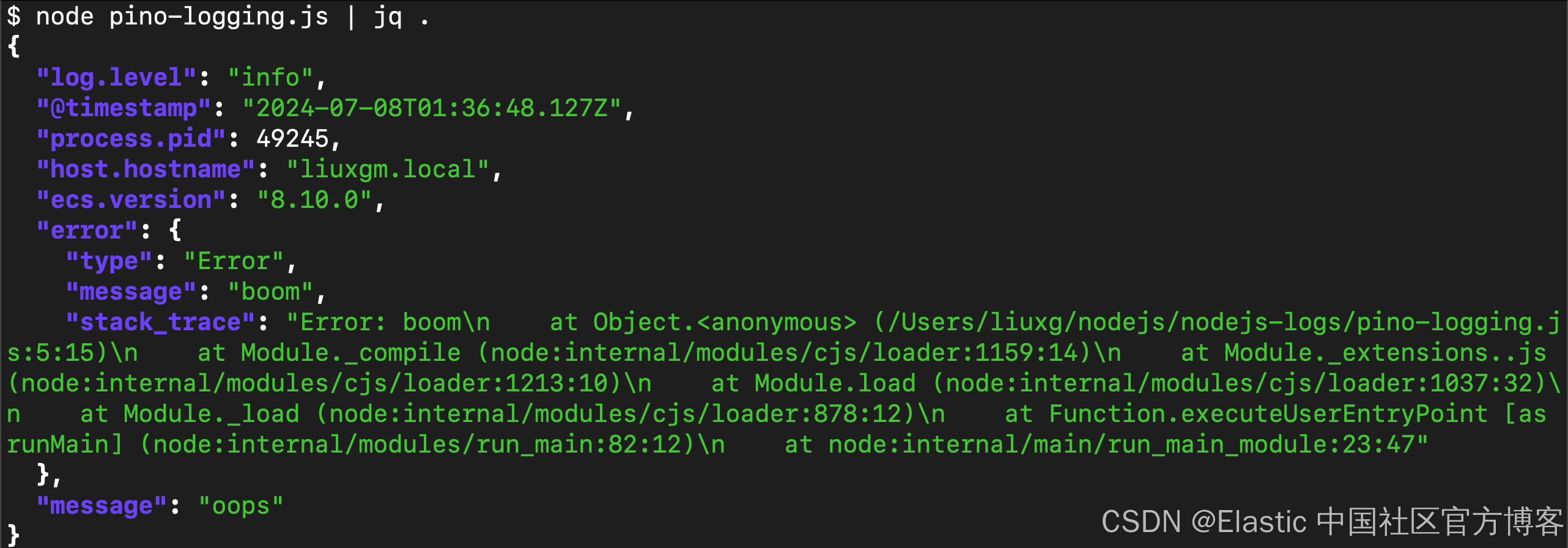 Elasticsearch：Node.js ECS 日志记录 - Pino