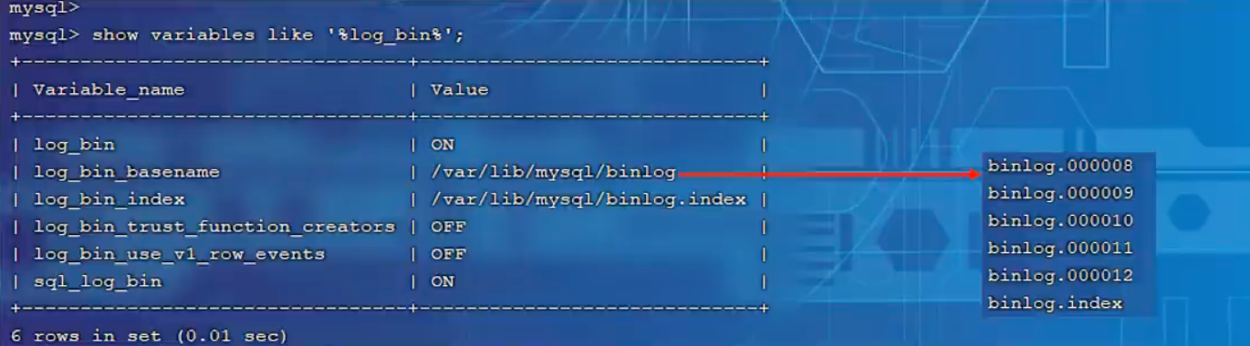 MySQL 日志 & 主从复制