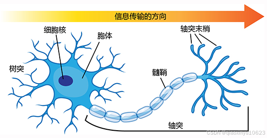 从零开始：神经网络（1）——什么是人工神经网络