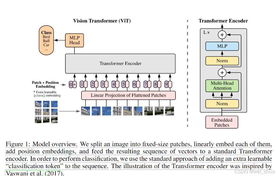 【ViT】对图片进行分类（论文复现）