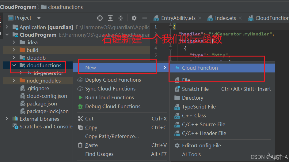 HarmonyOS Next API12最新版 端云一体化开发-云函数篇