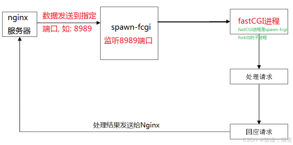 【中间件学习】fastCG介绍和使用