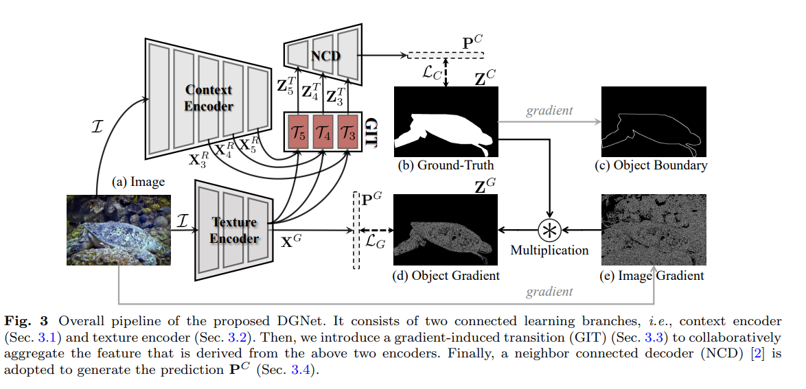 COD论文笔记 Deep Gradient Learning for Efficient Camouflaged 2022