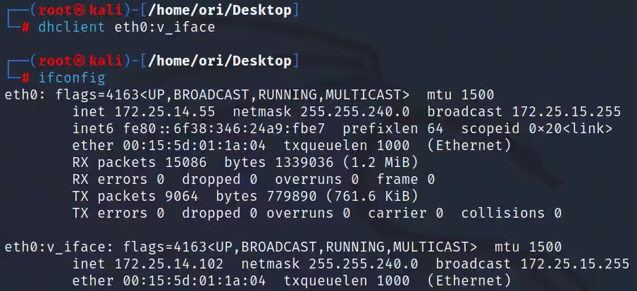 DHCP DNS 欺骗武器化——实用指南