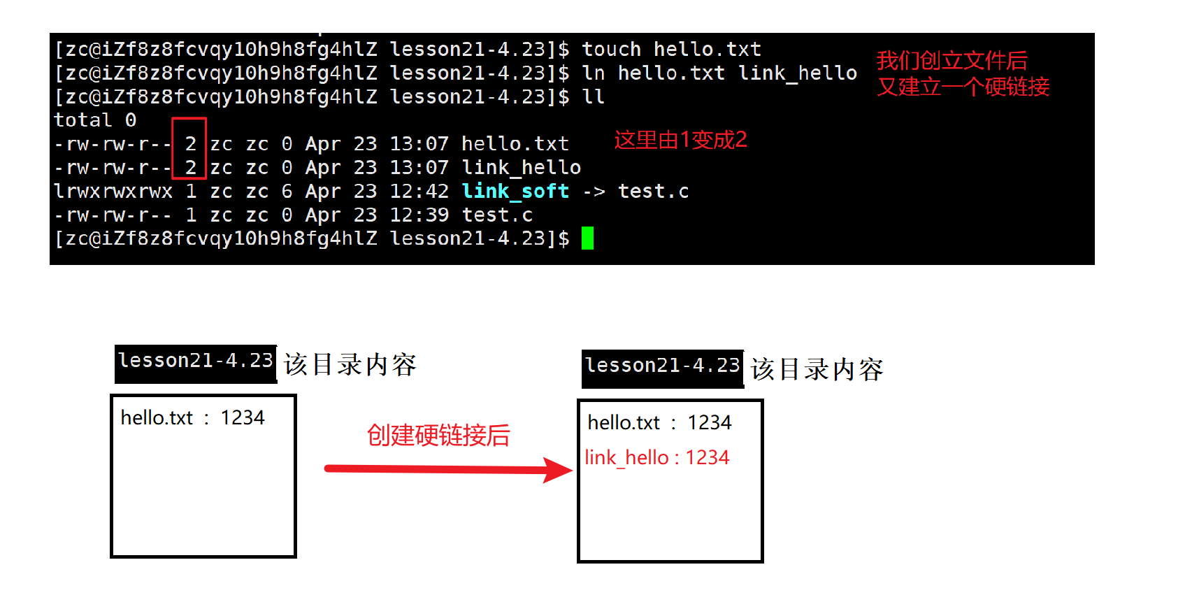 Linux：基础IO（三.软硬链接、动态库和静态库、动精态库的制作和加载）