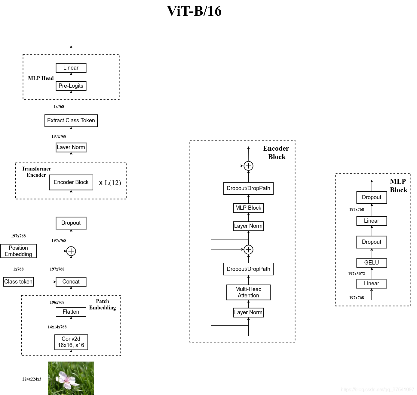 vit-b/16