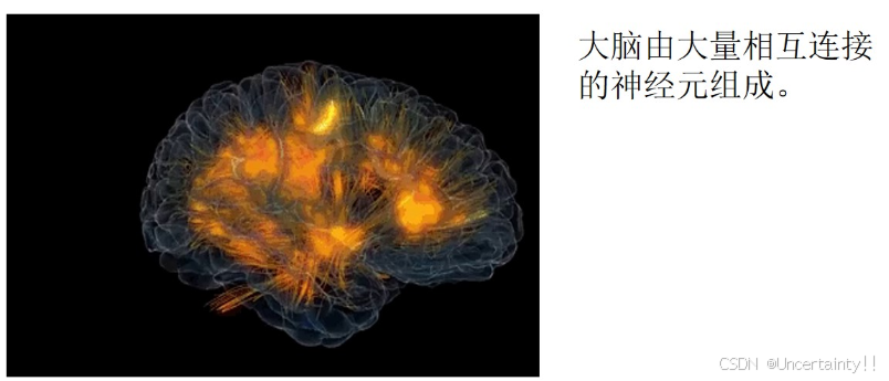 一文窥见神经网络