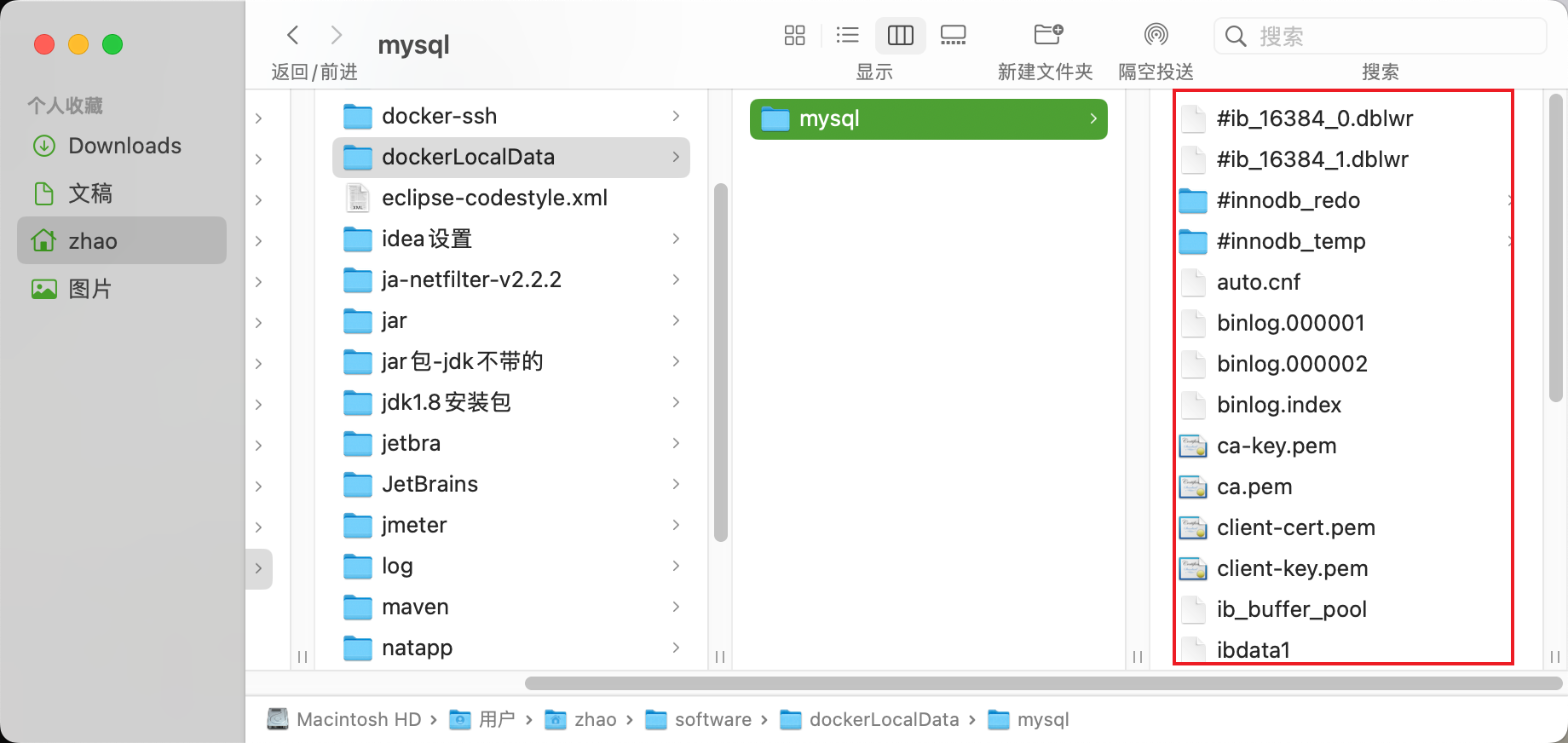 mac M1 创建Mysql8.0容器