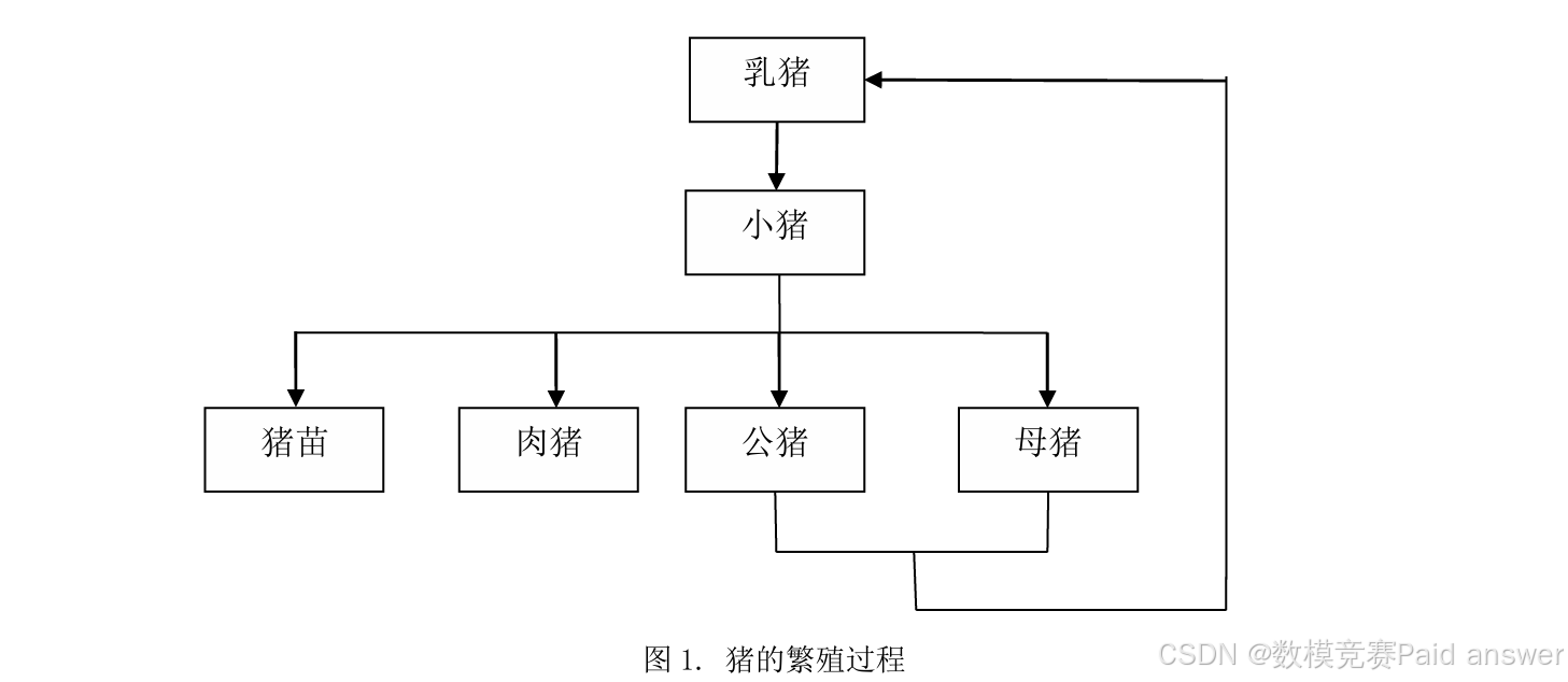 2014年国赛高教杯数学建模C题生猪养殖场的经营管理解题全过程文档及程序