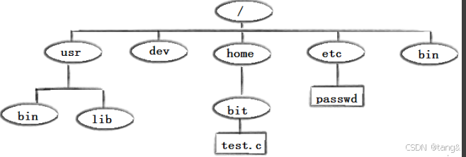 【Linux】常见指令