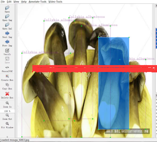 蘑菇分类检测数据集 21类蘑菇 8800张 带标注 voc yolo