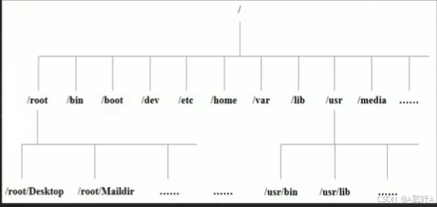 Linux 文件目录结构（详细）