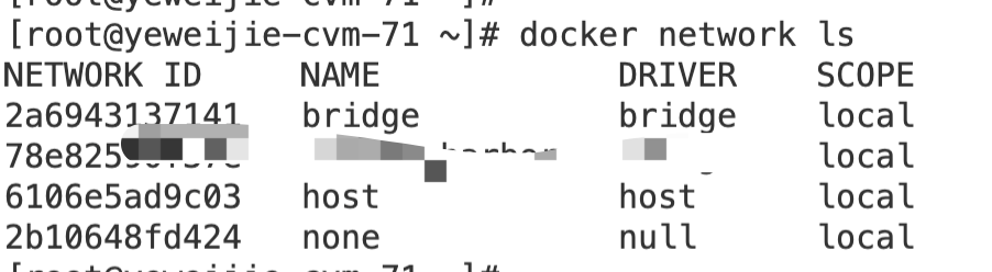 Docker网络介绍