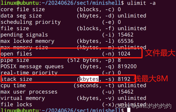 Linux高级编程——进程