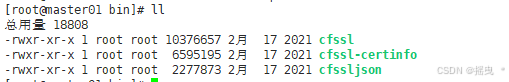 Kubernetes：（二）K8Sv1.20二进制部署