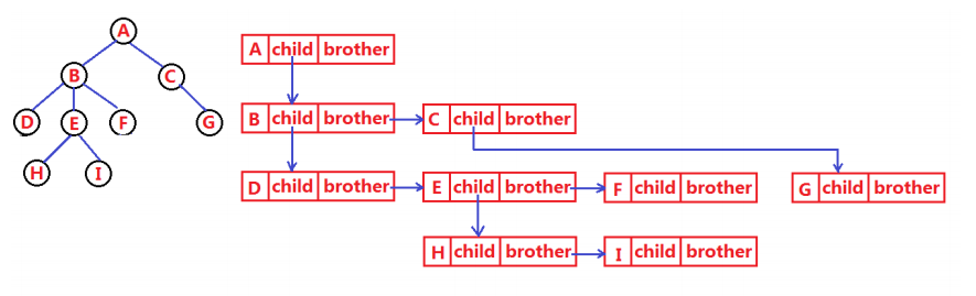 孩子兄弟表示法