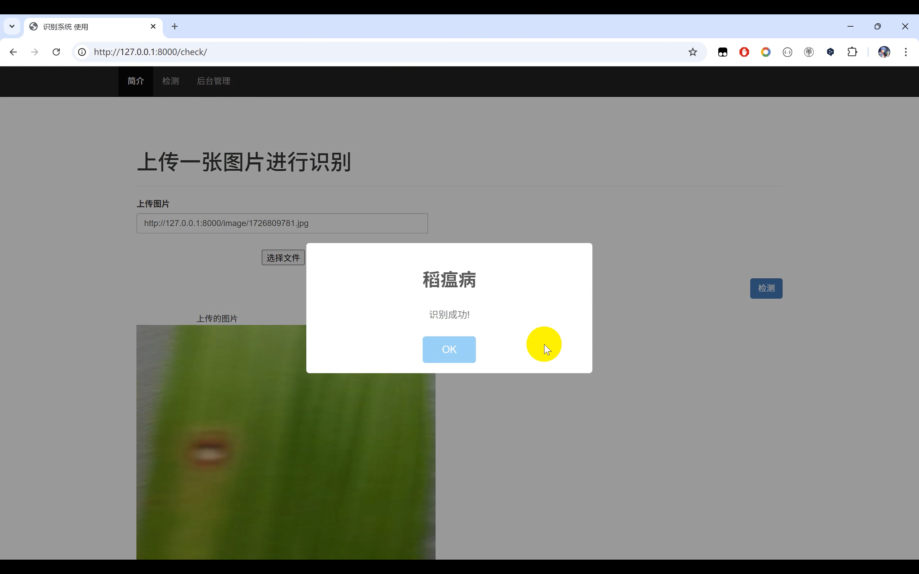 【植物病害识别】Python+卷积神经网络算法+人工智能+深度学习+Django网页界面+TensorFlow+模型训练+计算机课设项目