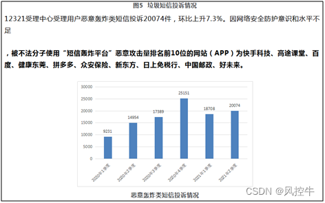 注册安全分析报告：人民卫生音像