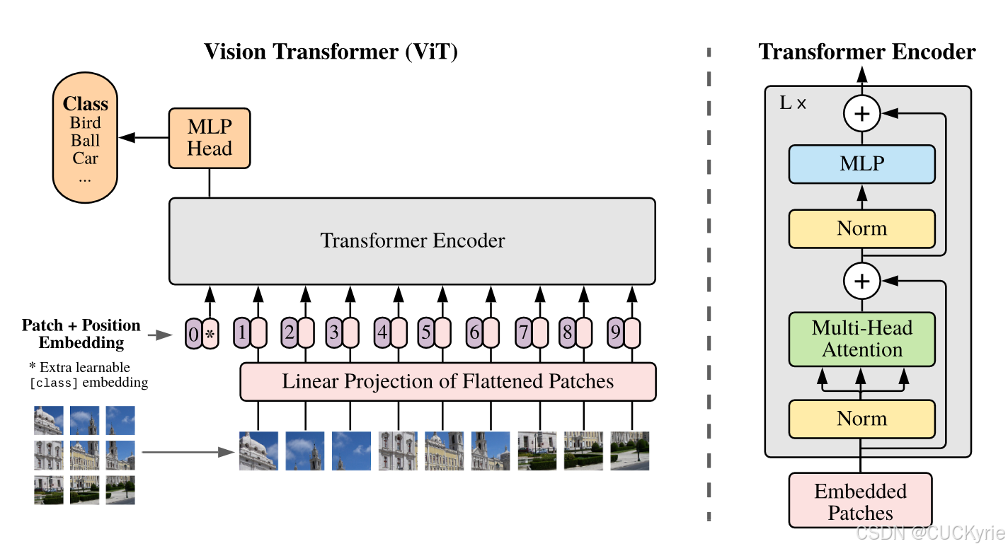 Vision Transformer学习笔记