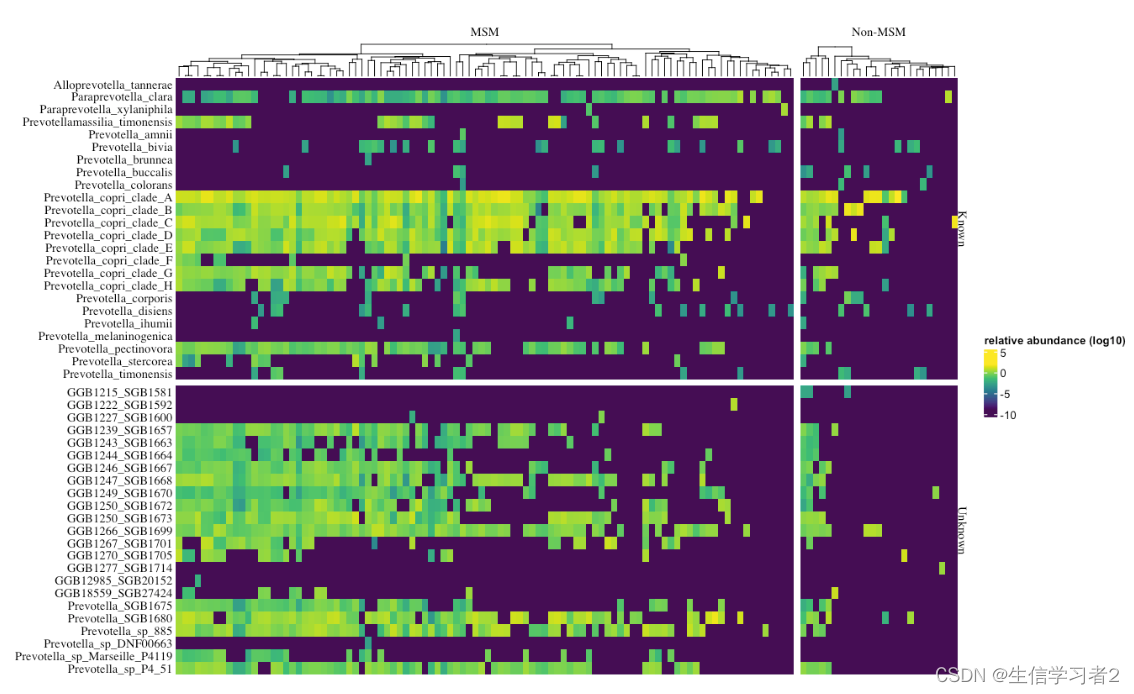 R可视化：微生物相对丰度或富集热图可视化