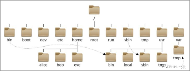 【Linux系统学习】2.Linux基础命令