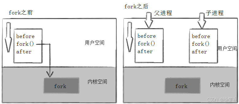 Linux 进程控制