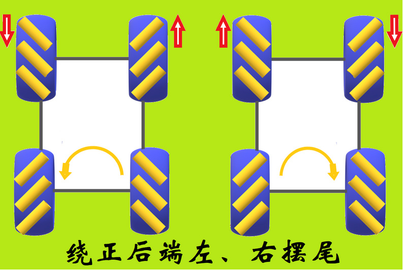 绕正后端，左，右摆尾