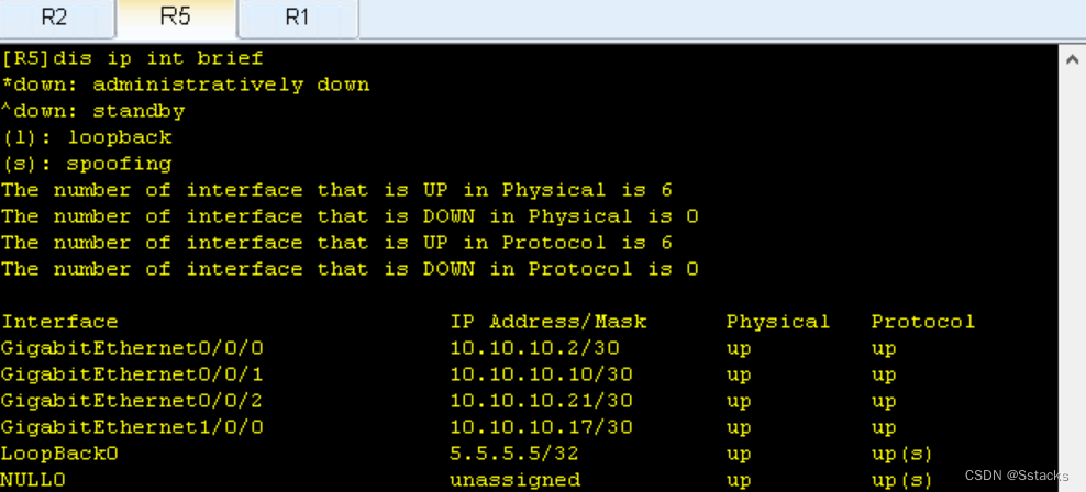 dis routing-table protocol bgp