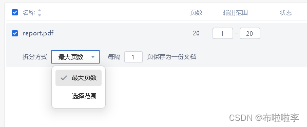 PyPDF2拆分PDF文件的高级应用：指定拆分方式