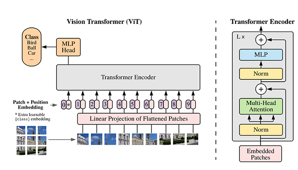 昇思25天学习打卡营第10天|Vision Transformer图像分类