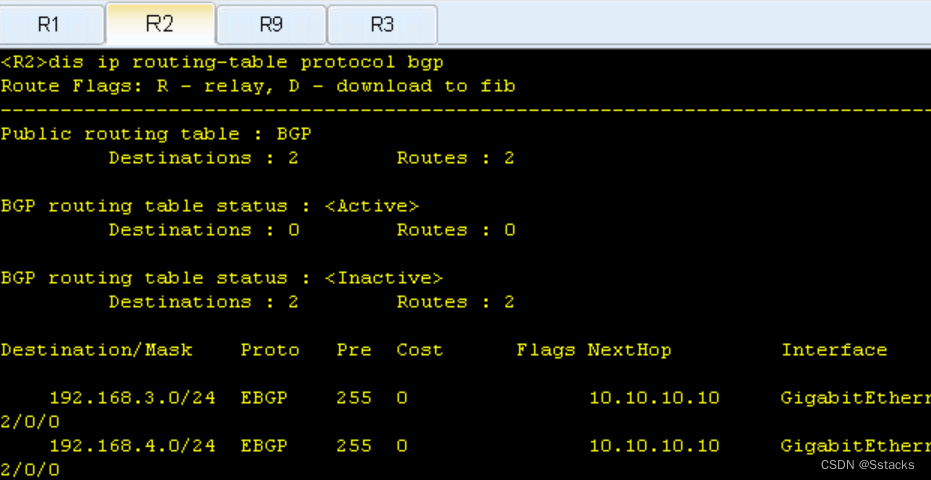 ip routing table bgp